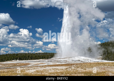 Ausbruch der Geysir "Old Faithful" in Upper Geyser Basin, Yellowstone-Nationalpark, Wyoming, USA Stockfoto