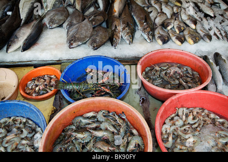 Fisch zum Verkauf auf dem Fischmarkt in Kochi (Cochin), Kerala, Indien. Stockfoto