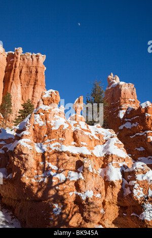 Hoodoos steigen auf allen Seiten des Bryce Canyon Nationalpark Queens Garden Trail im südlichen Utah. Stockfoto