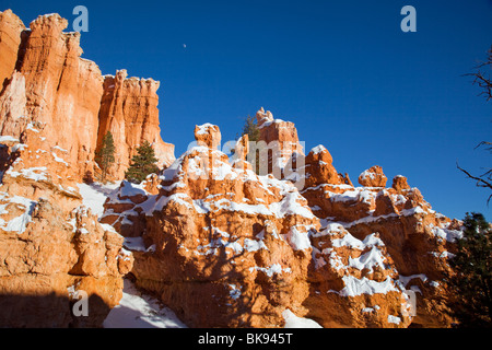 Hoodoos steigen auf allen Seiten des Bryce Canyon Nationalpark Queens Garden Trail im südlichen Utah. Stockfoto