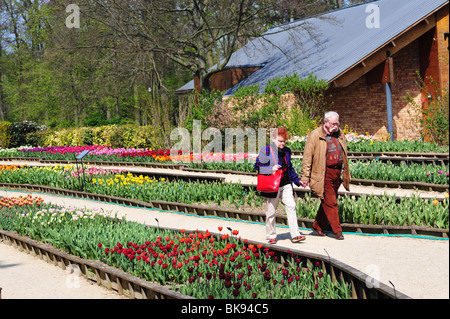 Tulpen in Paris, Parc Floral Stockfoto