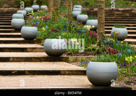 Frühling Blumen, Töpfe und Schritte bei The Eden Project in Cornwall Stockfoto