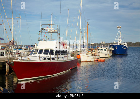 Angelboote/Fischerboote und Wharf, St Helens, östlichen Tasmanien, Australien Stockfoto