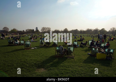 Frühling-Liegestühle im Hyde Park, london Stockfoto