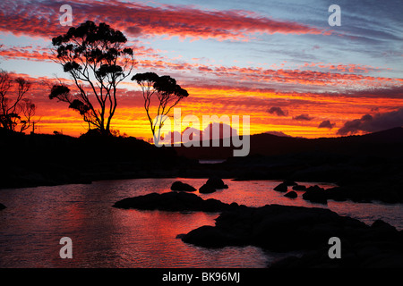 Sonnenuntergang und Gum Tree, Binalong Bucht, Bucht von Bränden, östlichen Tasmanien, Australien Stockfoto