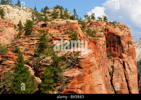 Malerische Aussicht auf den Zion-Nationalpark von Angels Landing Site, Utah, USA Stockfoto