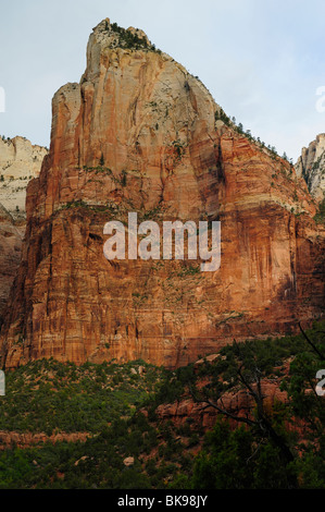 Malerische Aussicht auf Hof der Patriarchen in Zion Nationalpark, Utah, USA Stockfoto