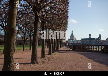 Blick auf das historische Stadtzentrum von Dresden, Deutschland, mit der Frauenkirche aus den Ufern des Flusses Elbe Stockfoto