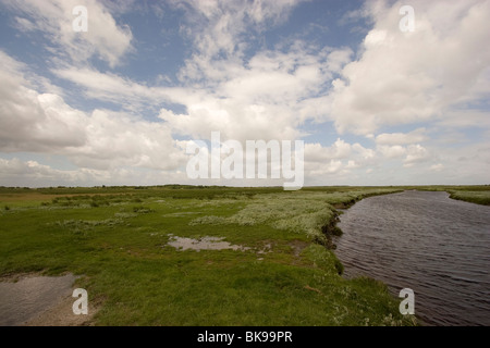 Meerwasser-Pools finden Sie auf den Salzwiesen neben dem Bach nach einer Flut. Stockfoto