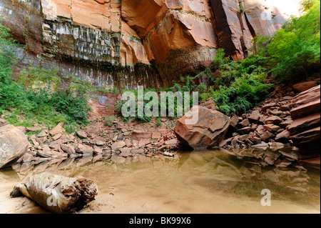 Teich in Emerald Pools Ort im Zion Nationalpark, Utah, USA Stockfoto