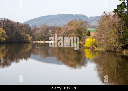 Witley Gericht Ruinen, Gärten und klassische Brunnen Stockfoto