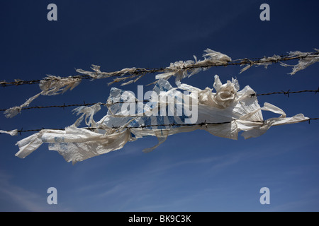 alten verworfen Plastiktüte Fäulnis und zerrissen im Wind Wehen von Stacheldrahtzaun aufgefangen Stockfoto