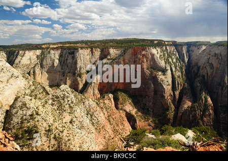 Malerische Aussicht auf Zion Canyon vom Aussichtspunkt im Zion Nationalpark, Utah, USA Stockfoto