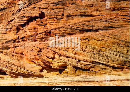 Felsen auf dem Weg zum Aussichtspunkt im Zion Nationalpark, Utah, USA Stockfoto