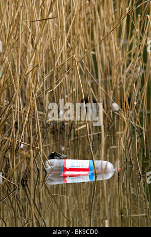 Kunststoff-Flasche schweben zwischen dem Schilf in einem Naturschutzgebiet verworfen Stockfoto