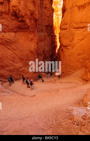 Malerische Aussicht auf Bryce Canyon aus Navajo Loop, Utah, USA Stockfoto