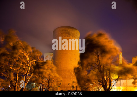 Australien Victoria Yallourn Zeitaufwand von Eukalyptusbäumen wehen im Wind unter Dampf Entlüftung vom kühlen Türme am Stockfoto