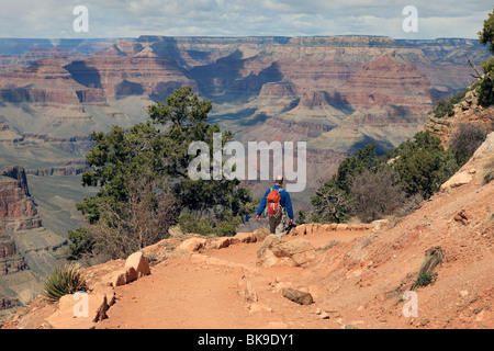 Walker auf dem South Kaibab Trail in Grand Canyon Stockfoto