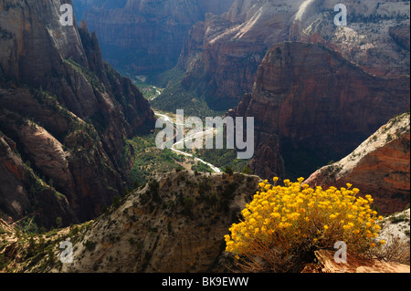 Malerische Aussicht auf Zion Canyon vom Aussichtspunkt im Zion Nationalpark, Utah, USA Stockfoto