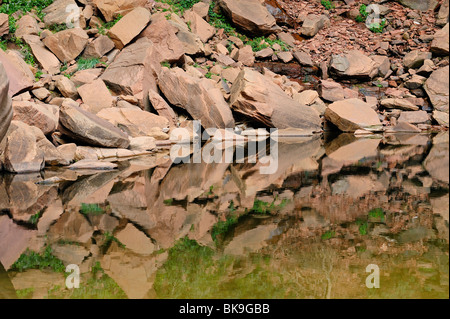 Teich in Emerald Pools Ort im Zion Nationalpark, Utah, USA Stockfoto
