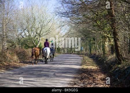 Frauen mit Pferden auf Devon Landstraße im Frühjahr Stockfoto