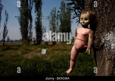 Eine Puppe hängt an einem Baum auf der Insel der Puppen in Xochimilco, Süden von Mexiko-Stadt, Mexiko Stockfoto