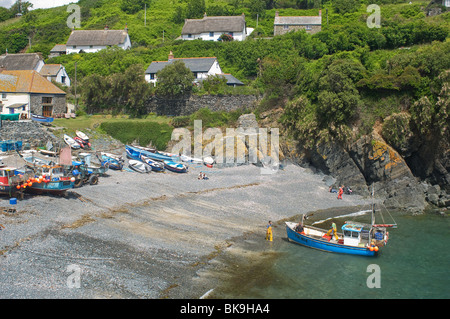 Cadgwith Cornwall - Johannes Gollop Stockfoto