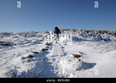 Ein Wanderer auf dem Gipfel des Mount Pierce in den White Mountains, New Hampshire, USA. Stockfoto