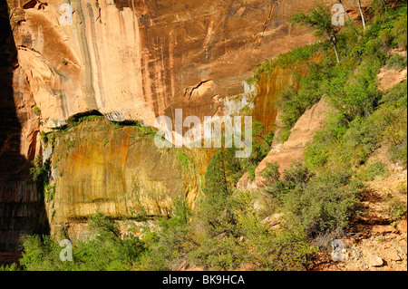 Felsen auf dem Weg zum Aussichtspunkt im Zion Nationalpark, Utah, USA Stockfoto