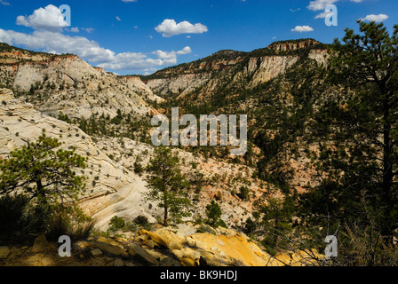 Malerische Aussicht auf Zion Canyon vom Aussichtspunkt im Zion Nationalpark, Utah, USA Stockfoto