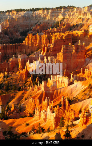 Panoramablick auf Bryce Canyon von Sunrise point, Utah, USA Stockfoto