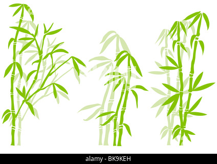 Bambus Baum Stockfoto