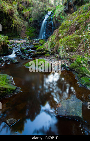 England, Northumberland, Hindhope Linn. Hindhope Linn, eine Kaskade entlang der Blakehope Verbrennung im Kielder Forest Park Stockfoto