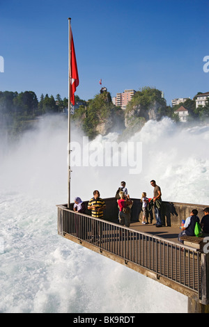 Rheinfall (Europas größter Wasserfall), Schaffhausen, Kanton Schaffhausen, Schweiz Stockfoto