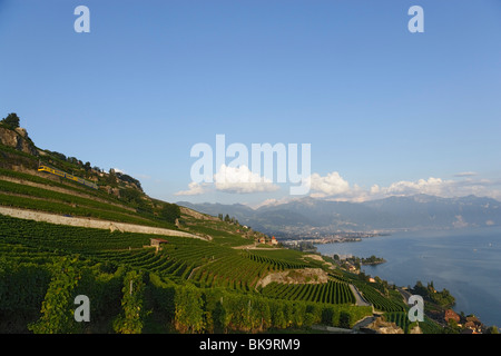 Bahn de Vignes, Lavaux, Kanton Waadt, Schweiz Stockfoto