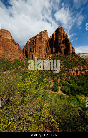 Malerische Aussicht auf Emerald Pools Website im Zion Nationalpark, Utah, USA Stockfoto
