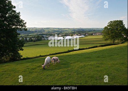 Das Hay-Festival der Literatur und der Künste, Hay-on-Wye, UK. Ein Blick über das Festivalgelände in wunderschöner Landschaft Stockfoto