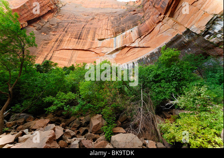 Wasserfall auf Emerald Pools Website im Zion Nationalpark, Utah, USA Stockfoto