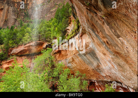 Wasserfall auf Emerald Pools Website im Zion Nationalpark, Utah, USA Stockfoto