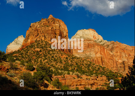 Malerische Aussicht auf Zion Canyon vom Aussichtspunkt im Zion Nationalpark, Utah, USA Stockfoto