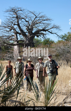 Gruppe von Touristen auf eine Safari zu Fuß passieren ein Alter Baobab-Baum (Affenbrotbäume Digitata) im Caprivi-Streifen in Namibia Stockfoto