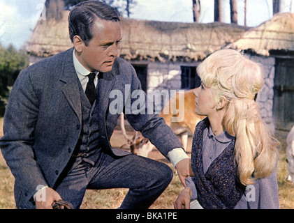 DIE DREI LEBEN VON THOMASINA (1963) PATRICK MCGOOHAN, SUSAN HAMPSHIRE TLT 003FOH Stockfoto