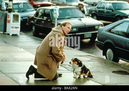 DER VERSEHENTLICHE TOURIST (1988) WILLIAM VERLETZT HUND, KAMEL MANTEL AKT 039 Stockfoto