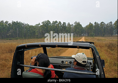 Touristen auf einer Safari in Kanha National park Stockfoto