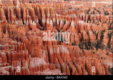 Malerische Aussicht "Hoodoos" im Bryce Canyon aus Sunset Point, Utah, USA Stockfoto