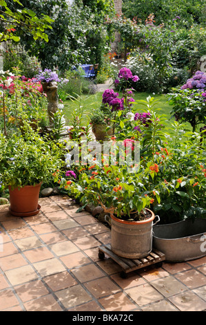 West Indian wandelröschen (Lantana camara) auf einer Terrasse. Design: Jutta wahren Stockfoto