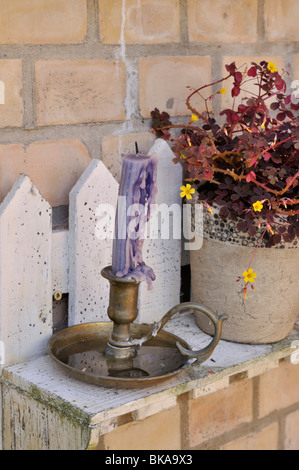 Vulkanische Sauerklee (Oxalis vulcanicola) mit blauer Kerze auf einem Regal. Design: Jutta wahren Stockfoto