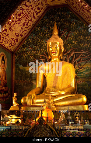 Buddhastatuen im Wat Chedi Luang Wora Wihan buddhistischer Tempel in Chiang Mai, Thailand. Stockfoto