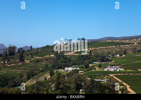 Blick über die Weinberge in der Nähe von Cape Town, Südafrika Stockfoto