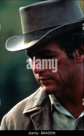 BUTCH CASSIDY UND SUNDANCE KID PAUL NEWMAN BCS 008 Stockfoto